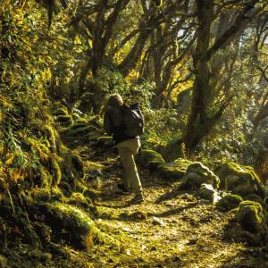 Akilpo-Ishinca-High-Route-Trek